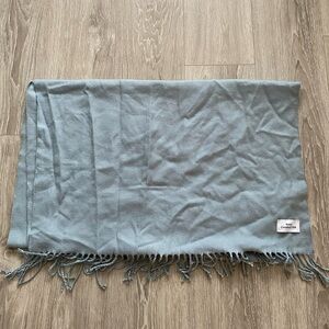 Aritzia blue scarf